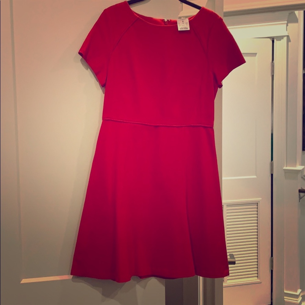 J Crew Factory red skater dress